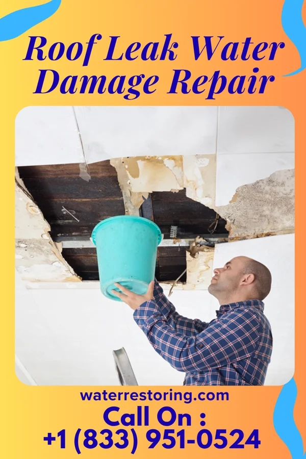 Roof Leak Water Damage Repair in Yakima, WA